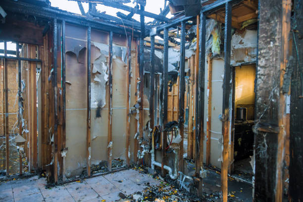 Professional Smoke Damage Removal technician working in Pineville, KY