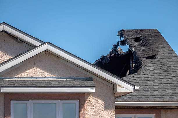 Top rated local Smoke Damage Removal specialists in Pineville, KY